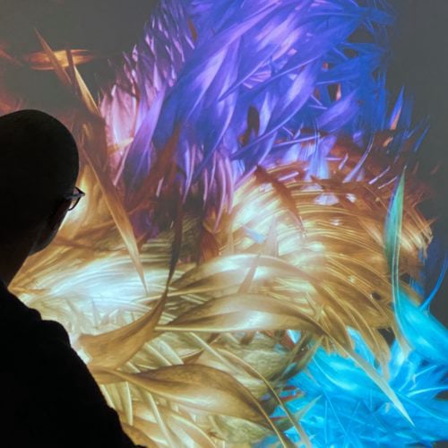 Exuberance - Interactive Installation